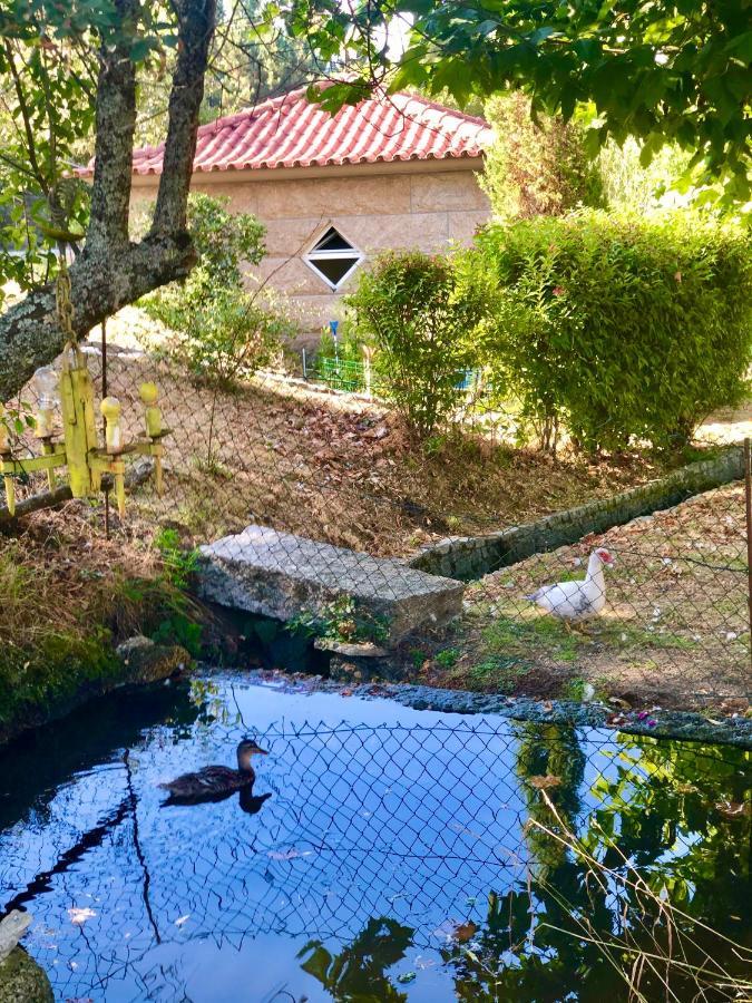 Вілла Casa Da Quinta Da Prelada Simao Селоріку-де-Башту Екстер'єр фото