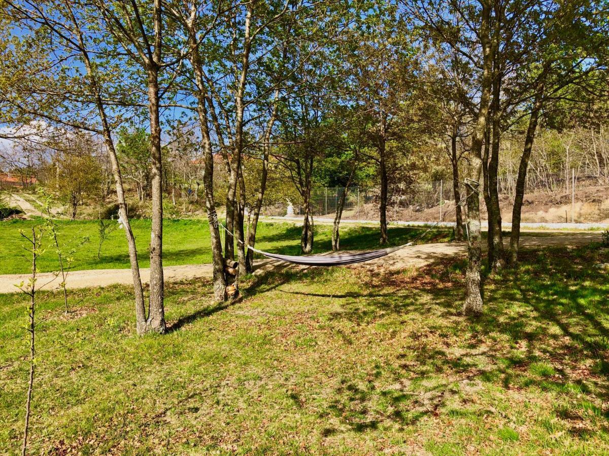 Вілла Casa Da Quinta Da Prelada Simao Селоріку-де-Башту Екстер'єр фото