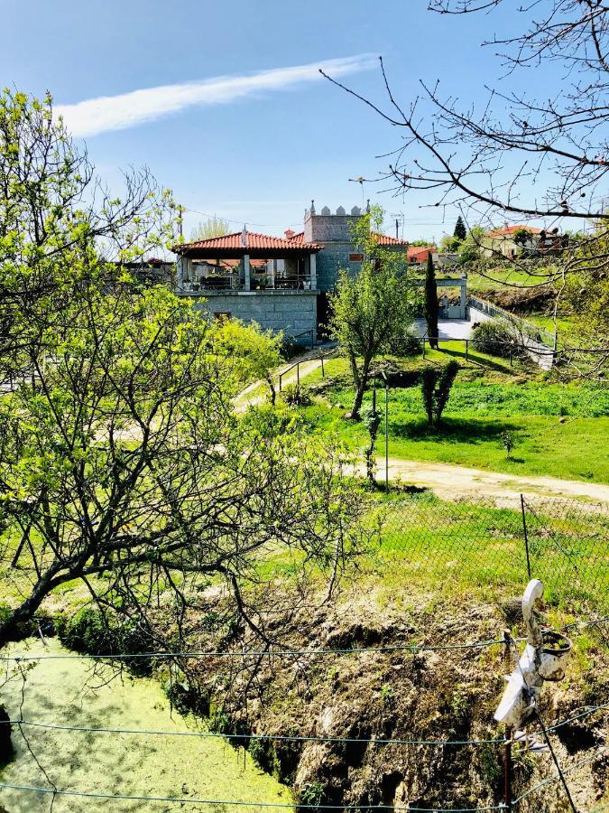 Вілла Casa Da Quinta Da Prelada Simao Селоріку-де-Башту Екстер'єр фото